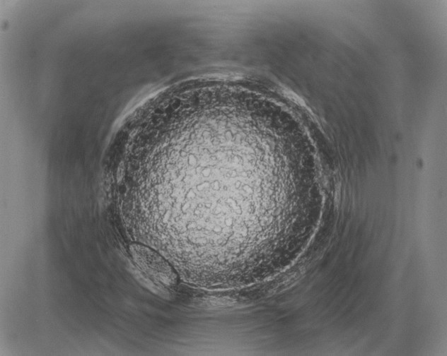 X0000085221448200703161232