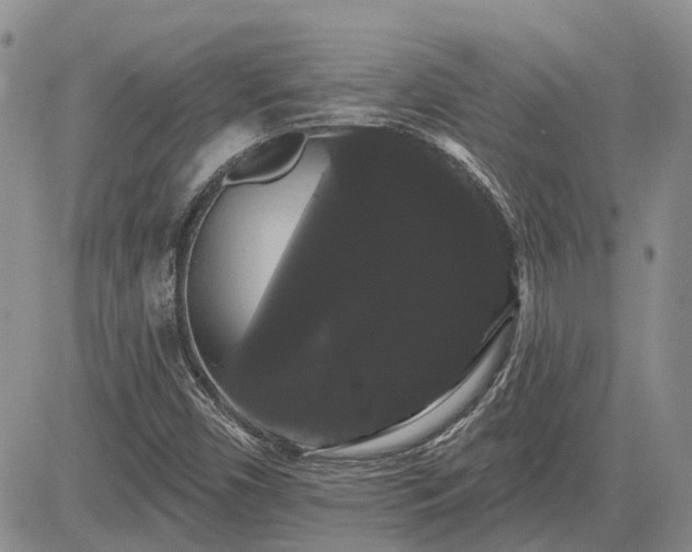 X0000085221450200703161232