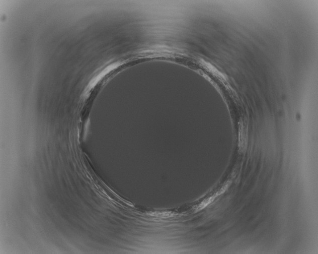 X0000085221453200703161232