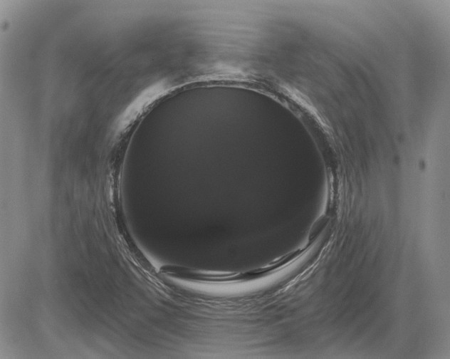 X0000085221455200703161232