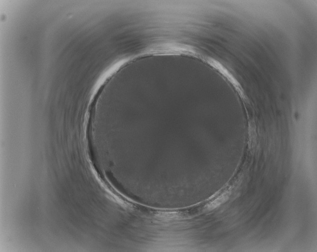 X0000085221477200703161232
