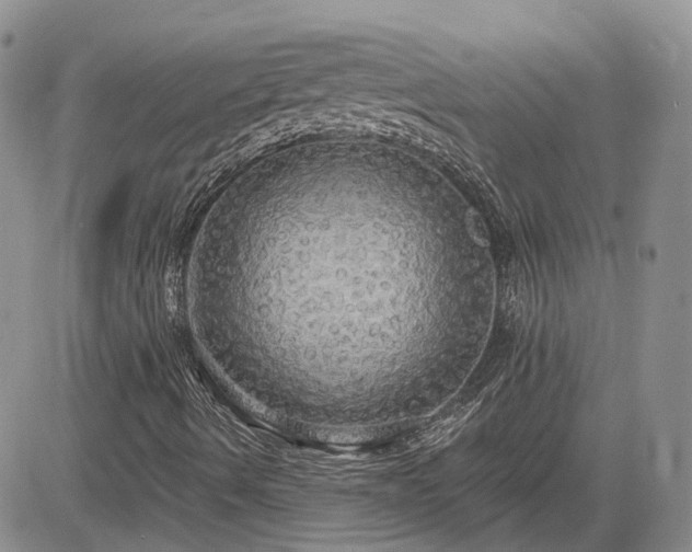 X0000085221490200703161231