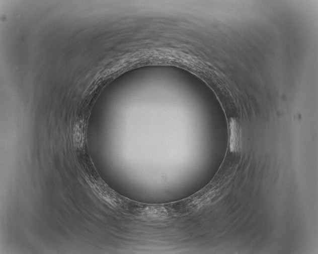 X0000085221491200703161231