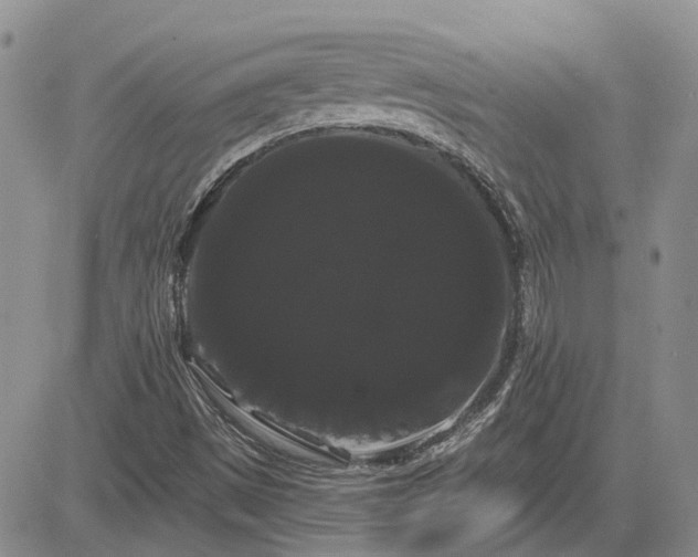 X0000085221497200703161231