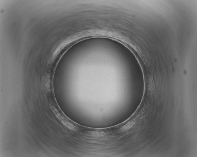 X0000085221499200703161231