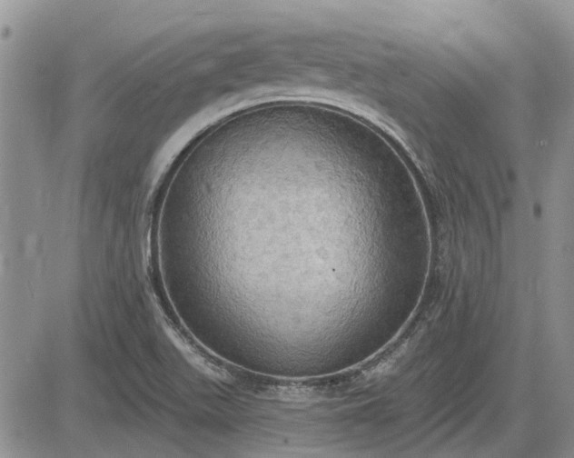 X0000085221511200703161231