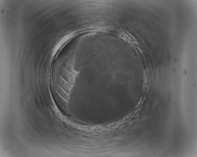 X0000085220003200703231544