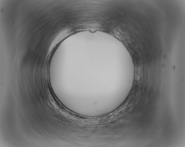 X0000085220004200703231544