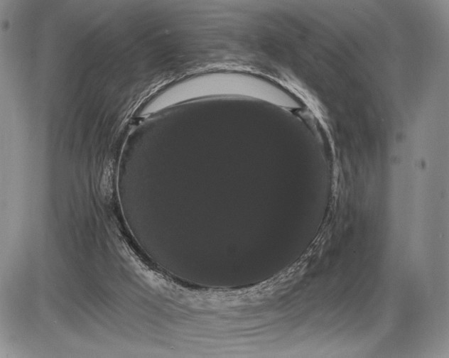 X0000085220009200703231544