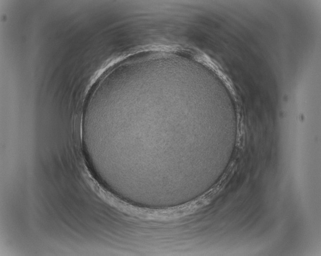 X0000085220011200703231544