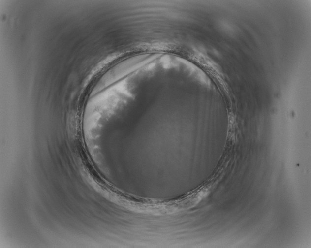 X0000085220012200703231544