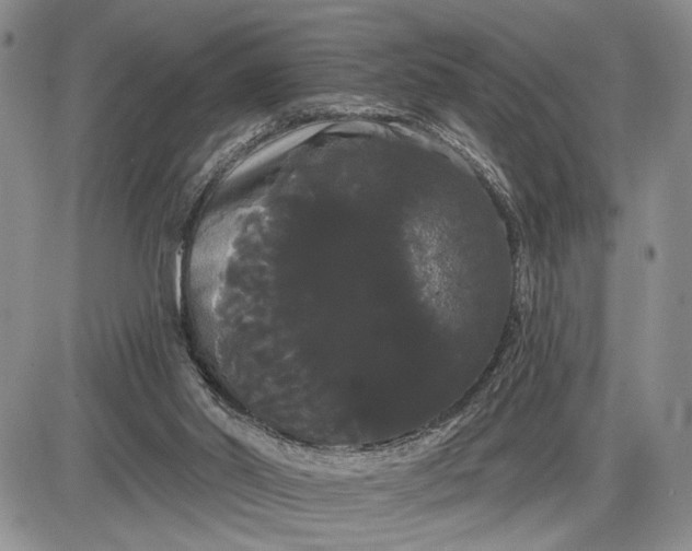 X0000085220014200703231544