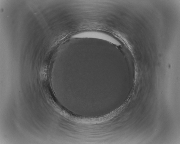 X0000085220017200703231544