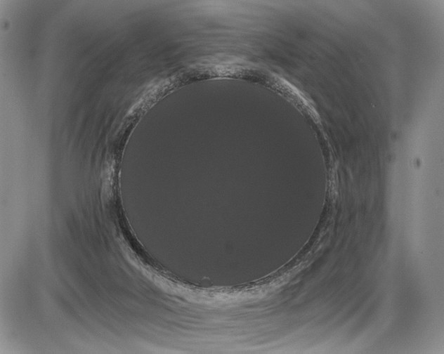 X0000085220018200703231544