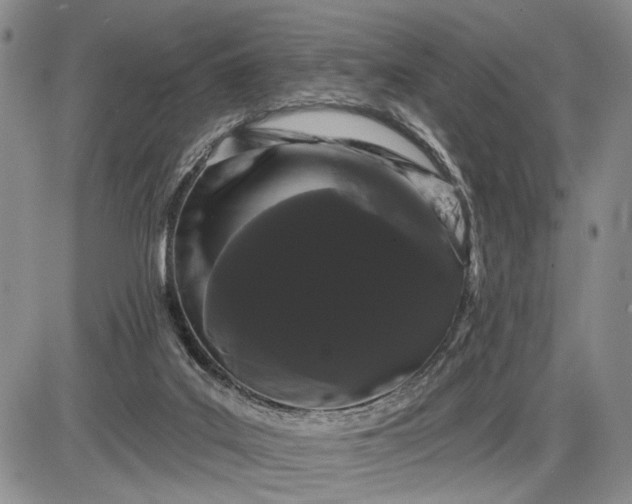 X0000085220019200703231544