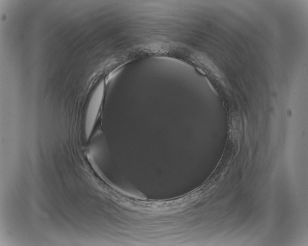 X0000085220023200703231544