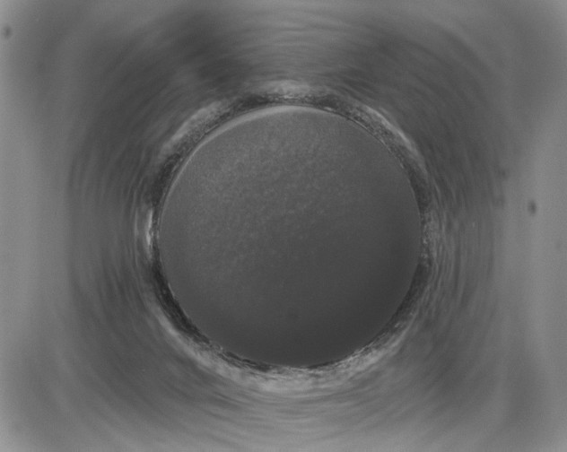 X0000085220024200703231544