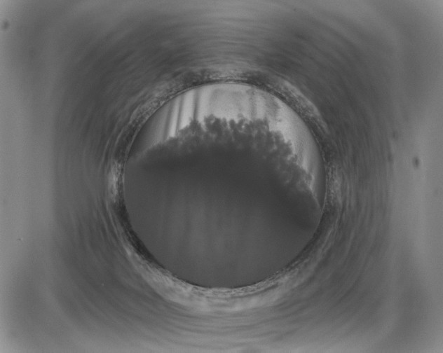 X0000085220026200703231544