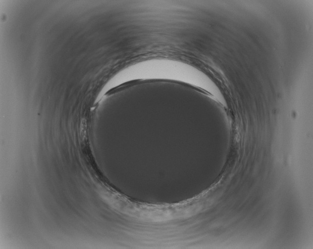 X0000085220029200703231544