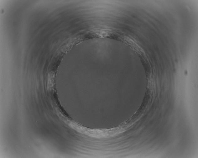 X0000085220030200703231544