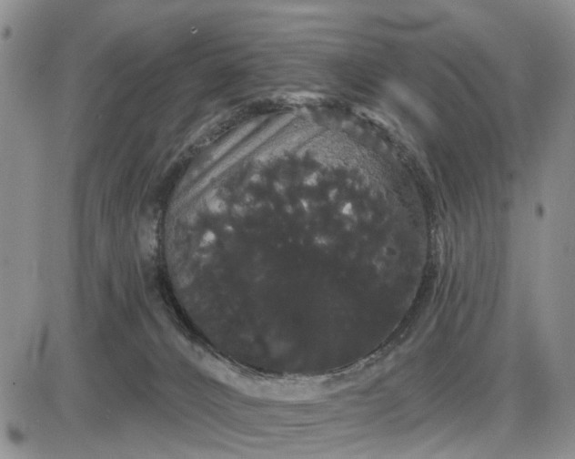 X0000085220032200703231544