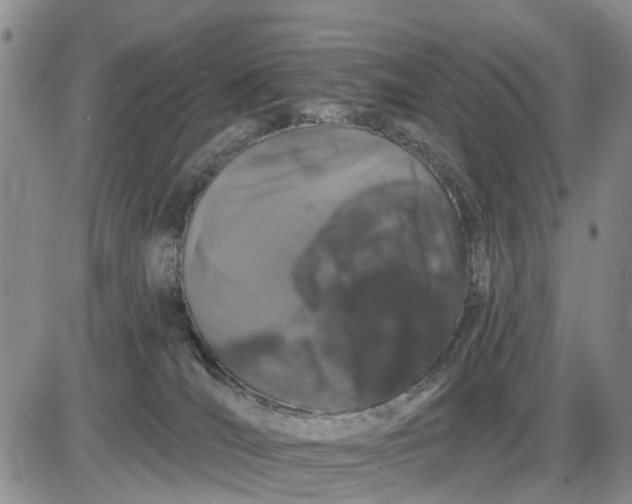 X0000085220036200703231544