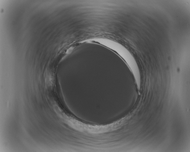 X0000085220039200703231544
