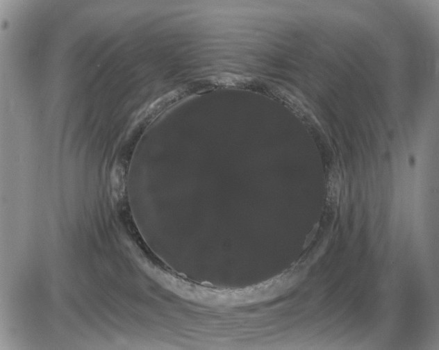 X0000085220043200703231544