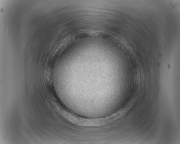 X0000085220044200703231544