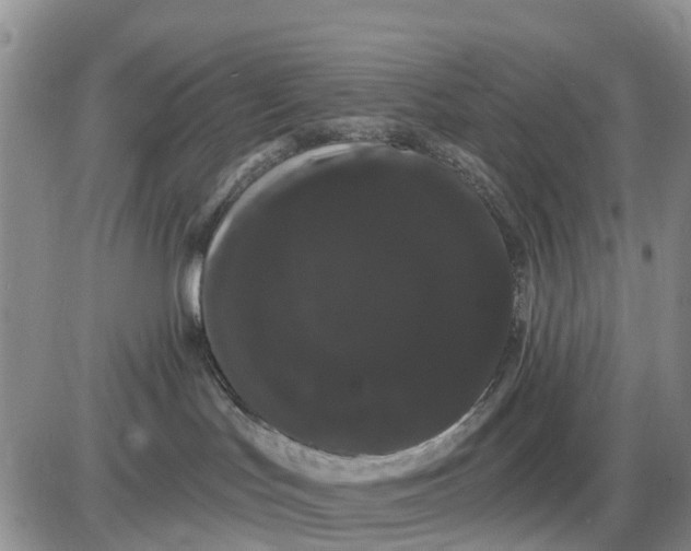 X0000085220047200703231544