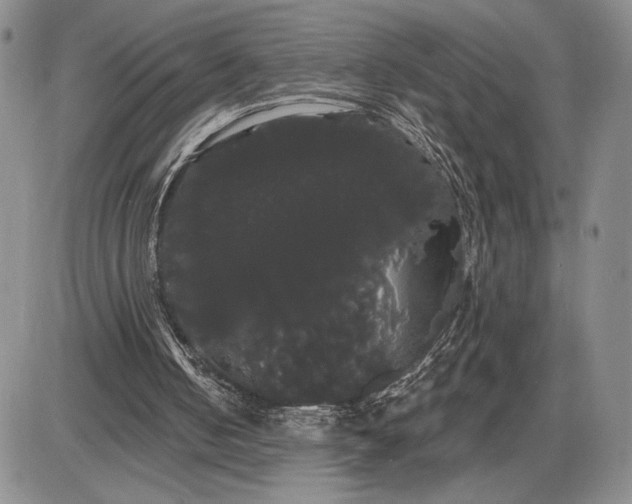 X0000085220050200703231543