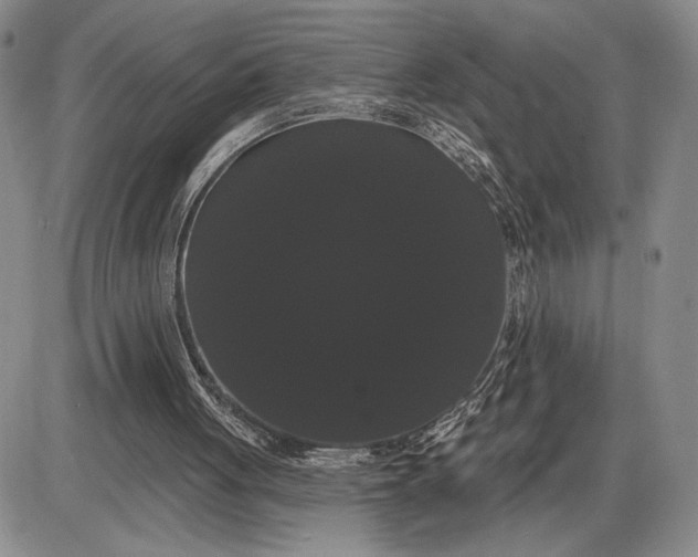 X0000085220051200703231543