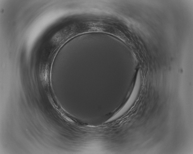 X0000085220052200703231543