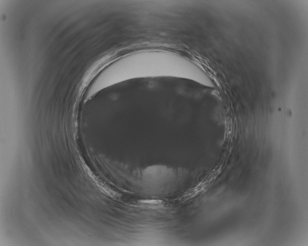 X0000085220053200703231543