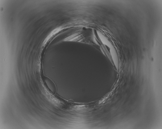 X0000085220054200703231543