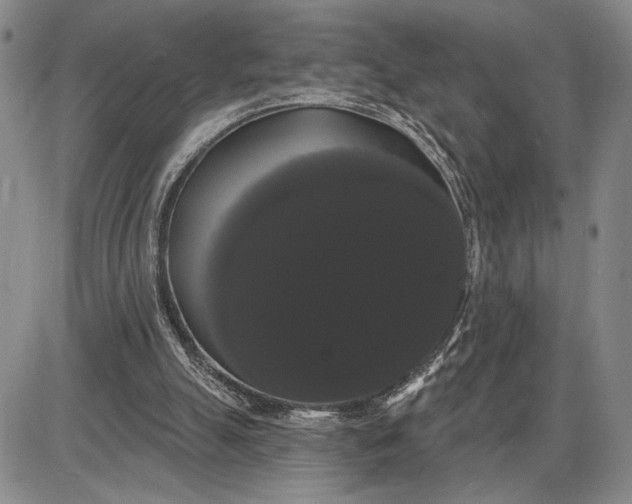 X0000085220055200703231543