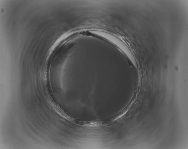 X0000085220056200703231543