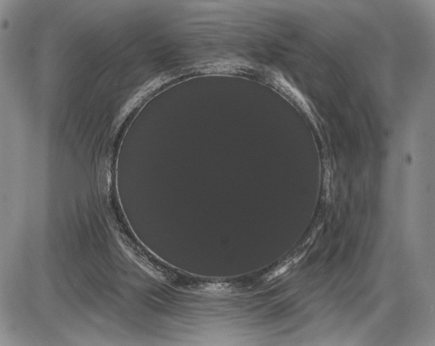 X0000085220059200703231543