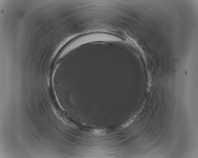 X0000085220060200703231543