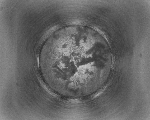 X0000085220061200703231543
