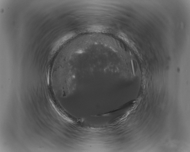 X0000085220062200703231543