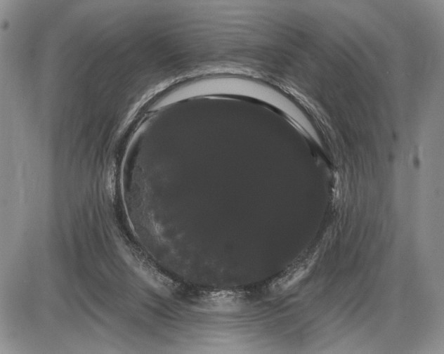 X0000085220064200703231543