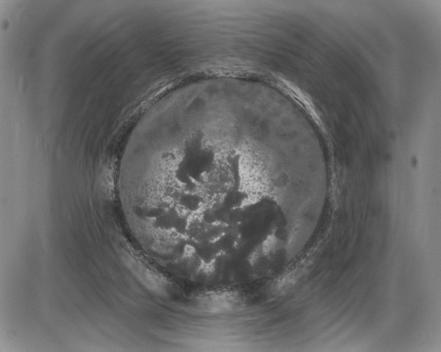 X0000085220065200703231543
