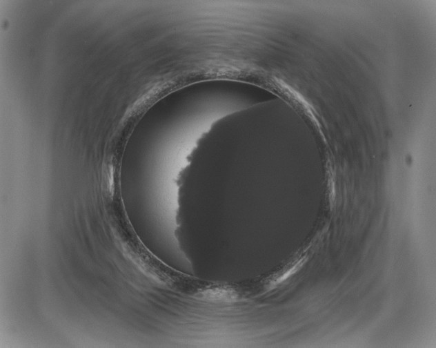 X0000085220067200703231543