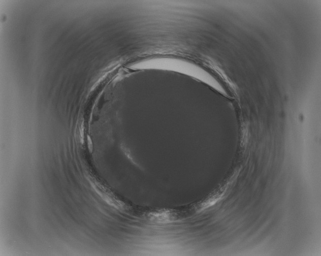 X0000085220068200703231543