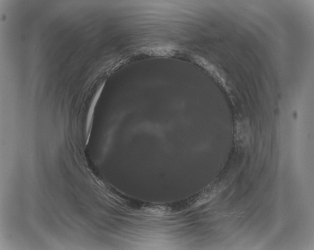 X0000085220069200703231543