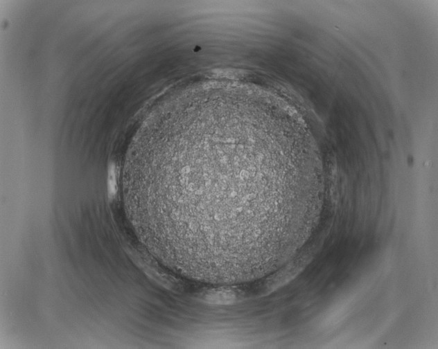 X0000085220075200703231543