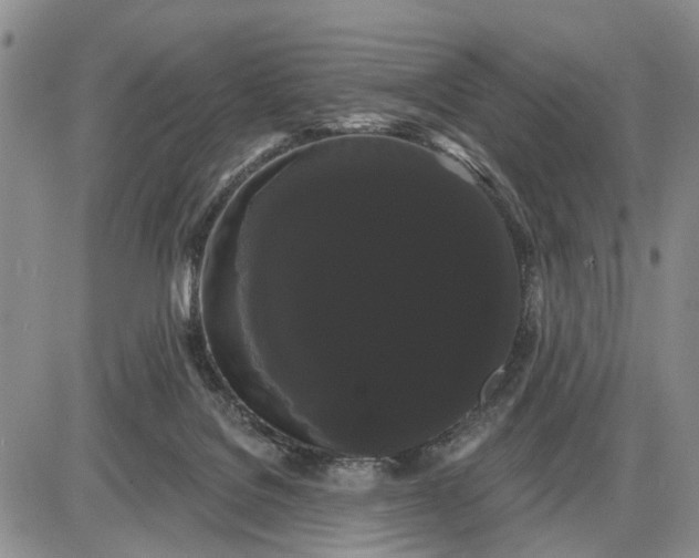 X0000085220076200703231543