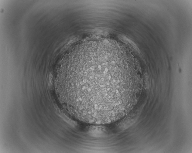 X0000085220077200703231543