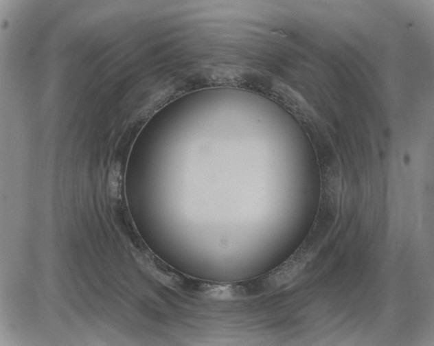 X0000085220083200703231544